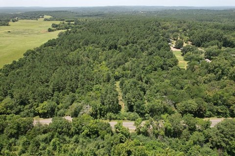 Undeveloped Land Near Alto, Texas