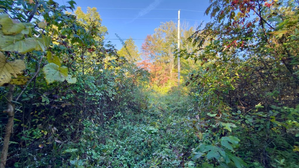 Picture 30