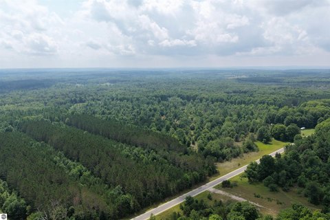 Wooded Land Parcel