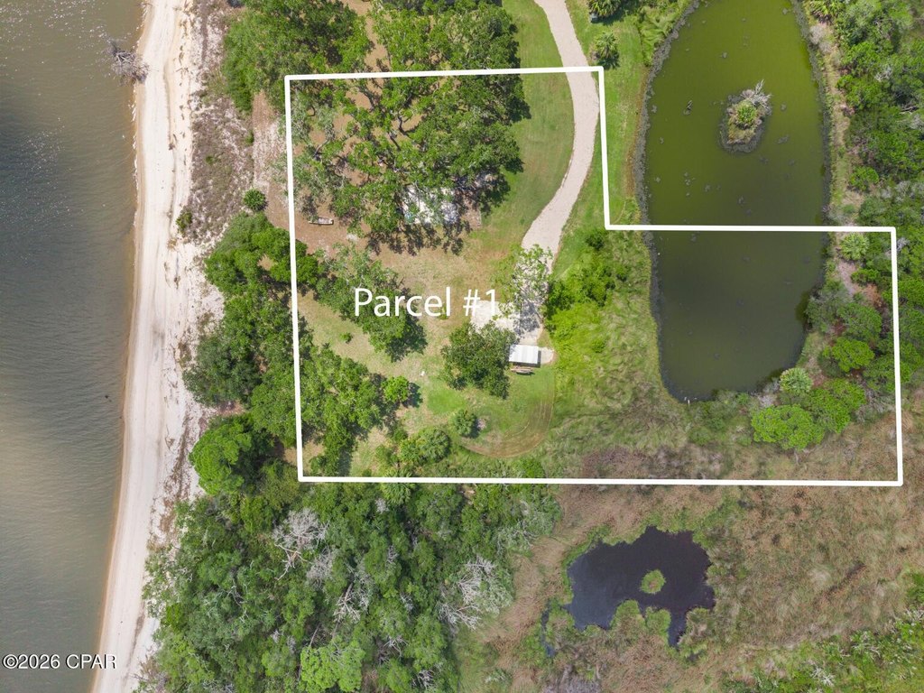 Picture 14