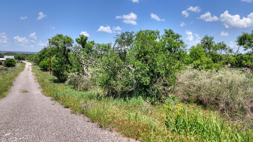Picture 26
