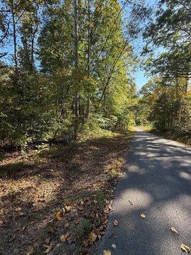 Lots and Land, Scottsville, KY