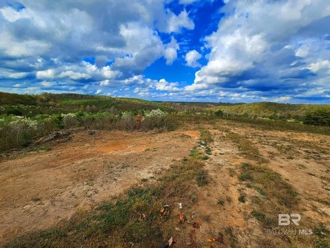 Hunting Land with Wooded Terrain
