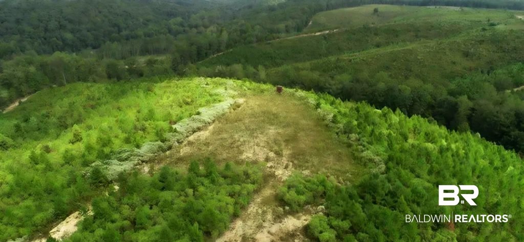 Picture 33