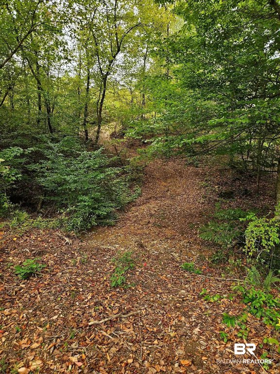 Picture 23