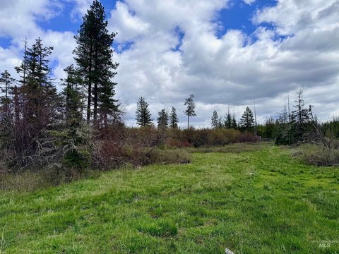 Orofino Land with Development Potential