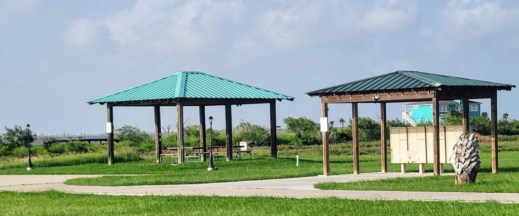 Picture 5