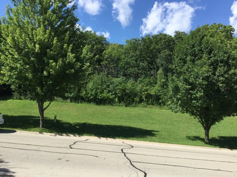 Large Wooded Residential Lot