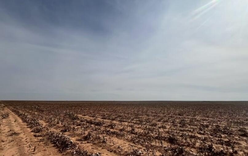 10 Acres Near Brownfield, TX