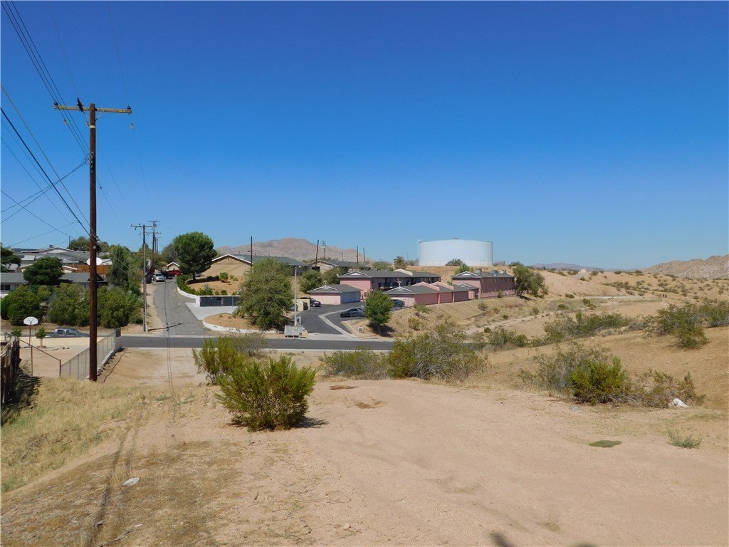 Picture 8