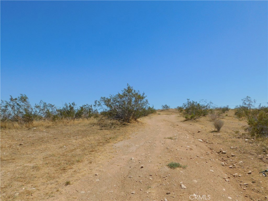 Picture 6