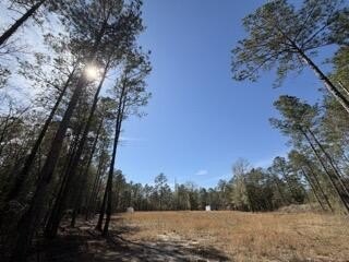 Residential Land in Salley, SC
