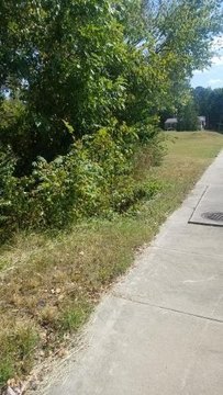 South Boston Land For Sale