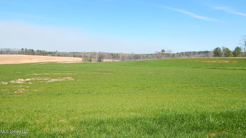 Gore Springs Land Near Grenada