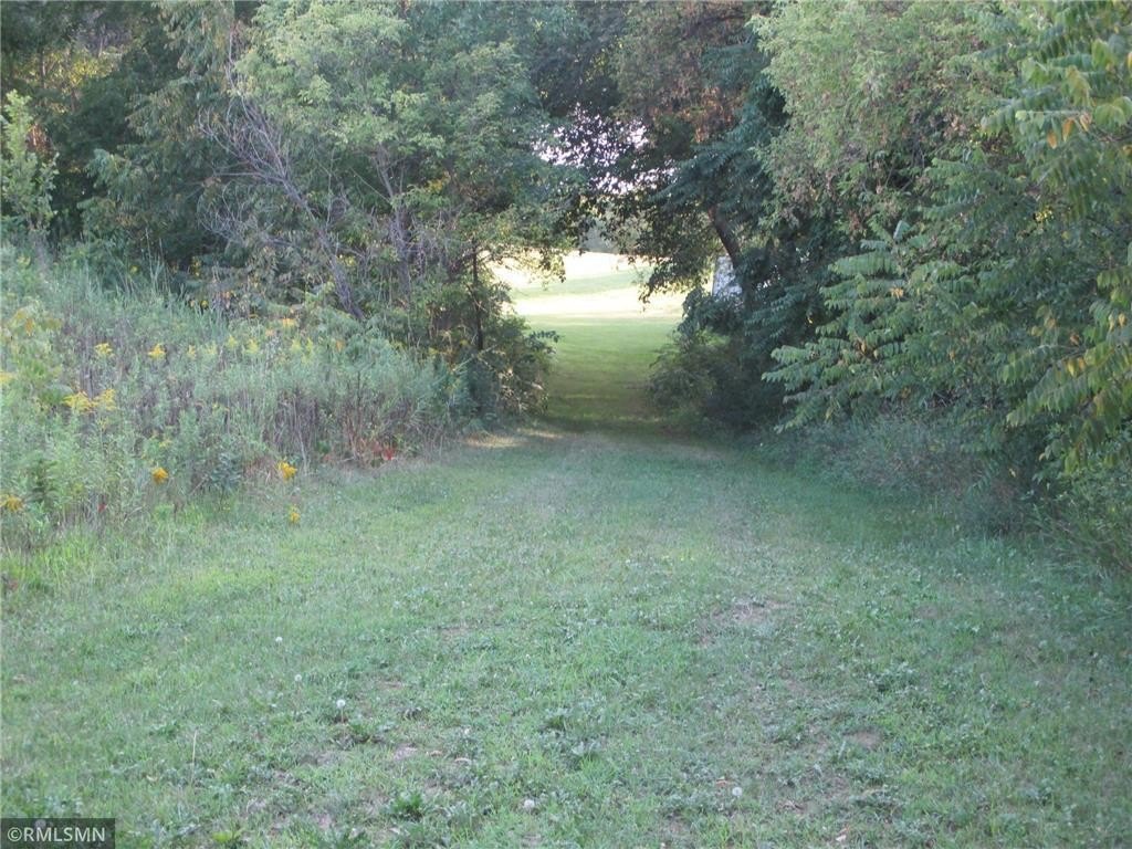 Picture 29