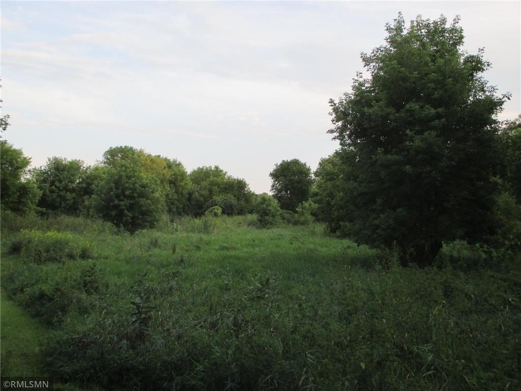 Picture 18
