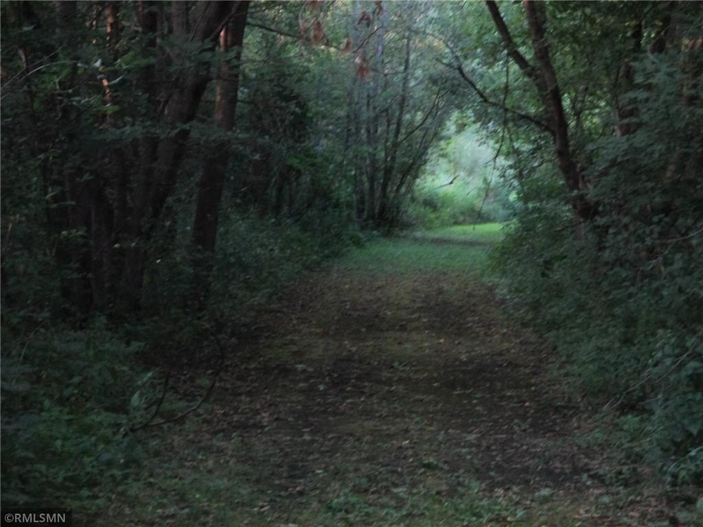 Picture 19