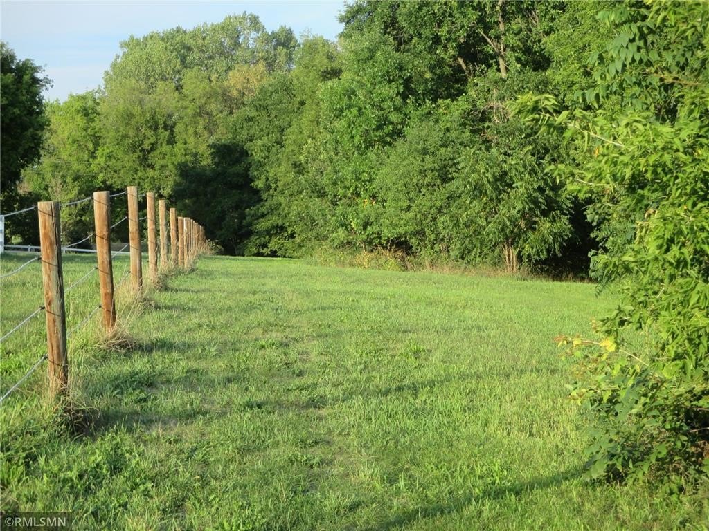 Picture 31