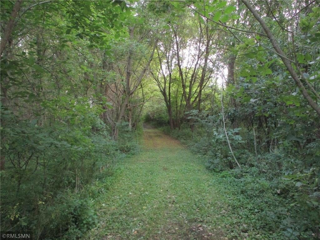 Picture 32