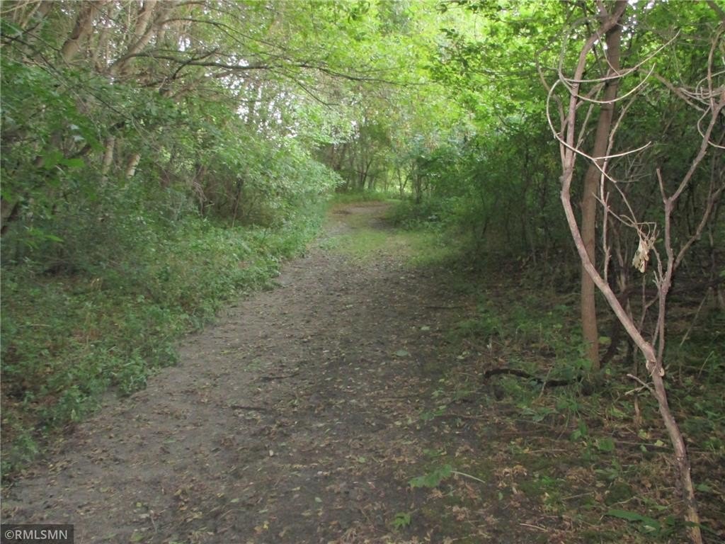 Picture 17