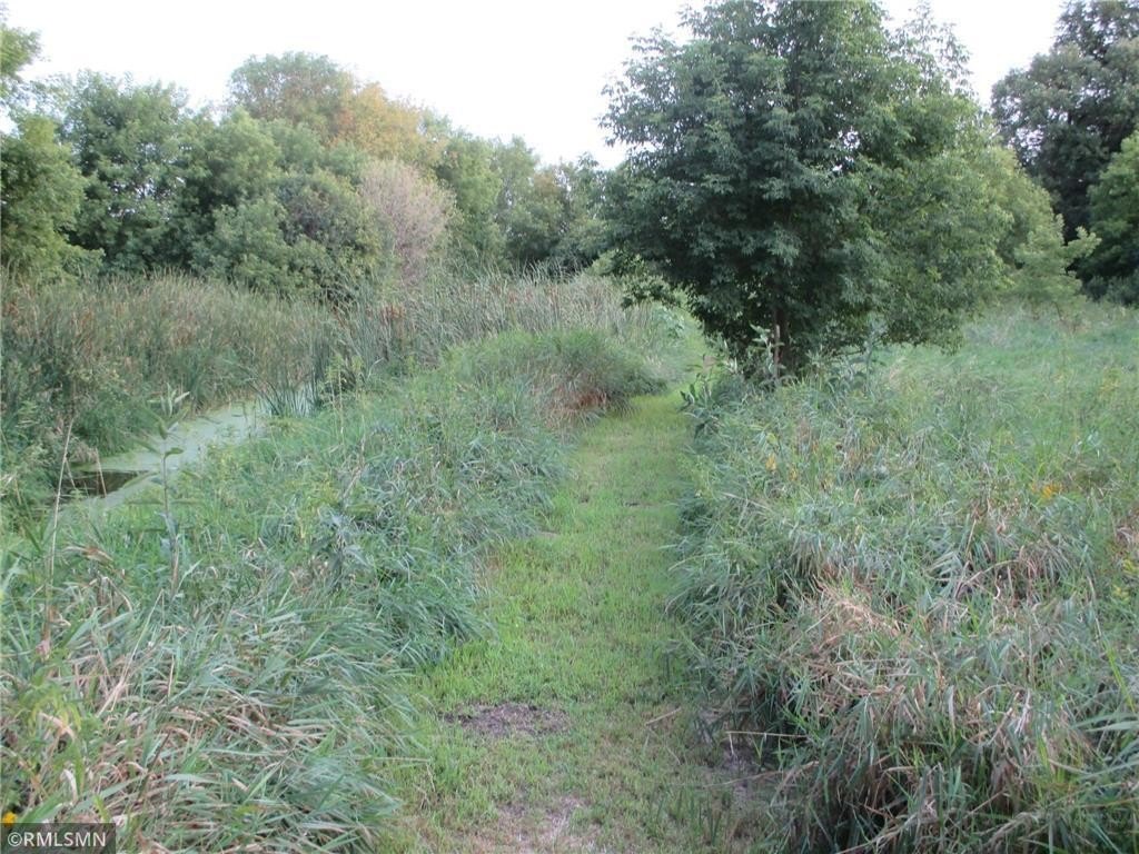 Picture 33