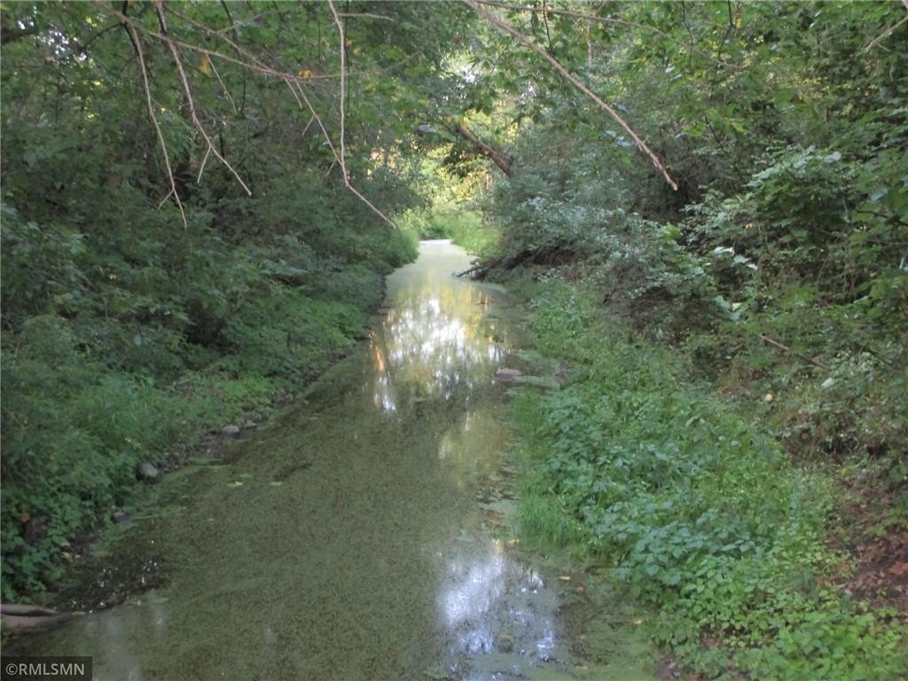 Picture 21