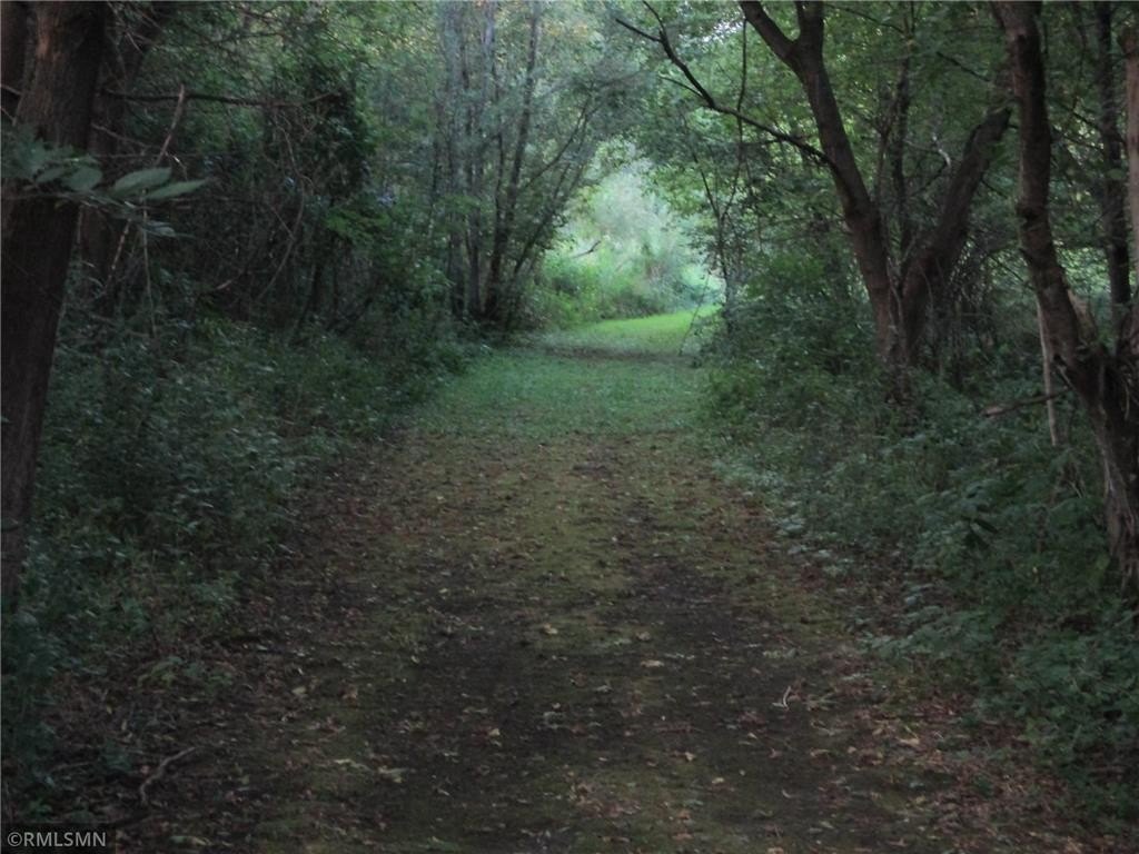 Picture 20