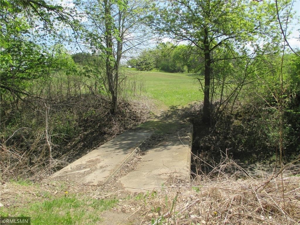 Picture 7