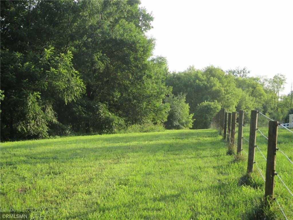 Picture 15