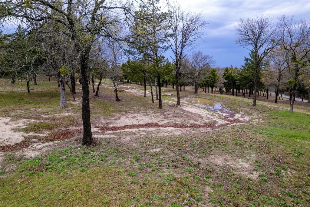 Picture 8