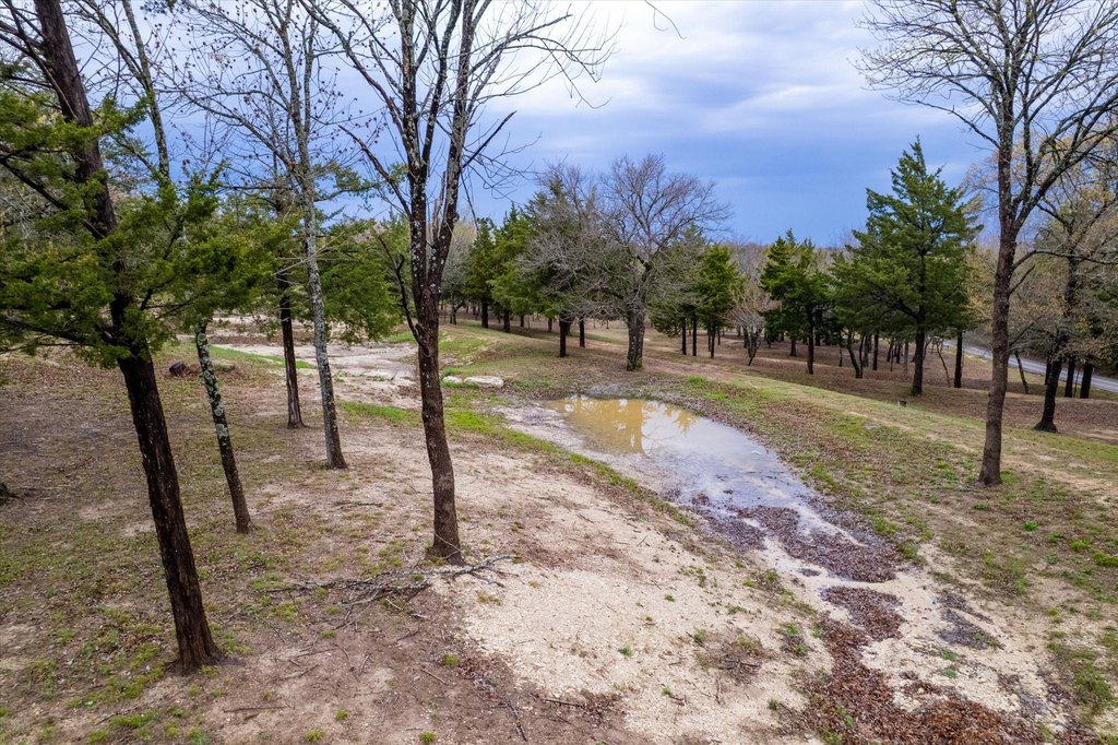 Picture 9