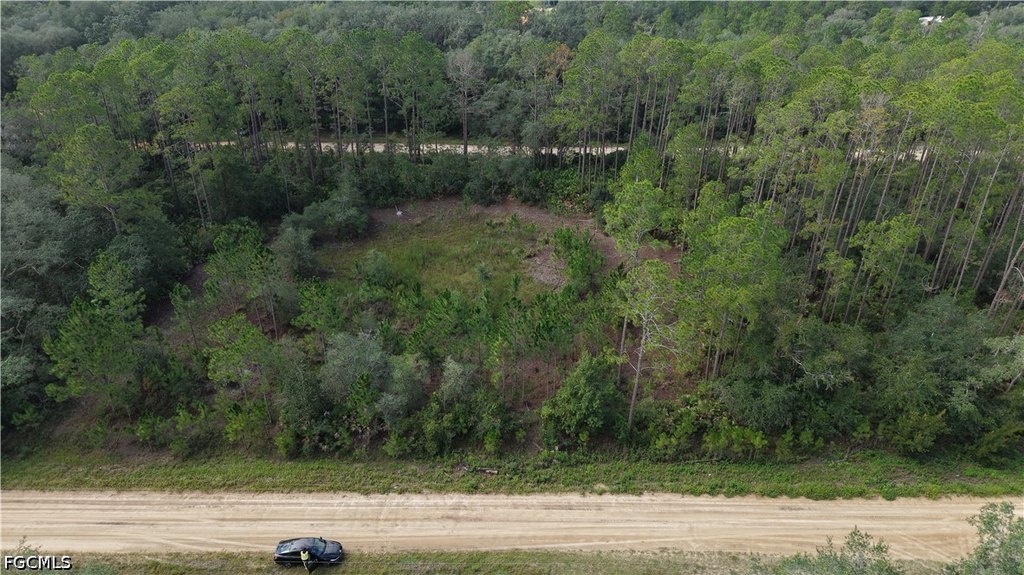 Picture 15