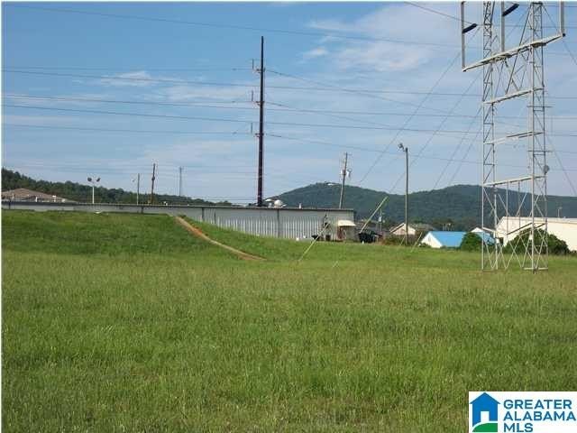 Picture 30
