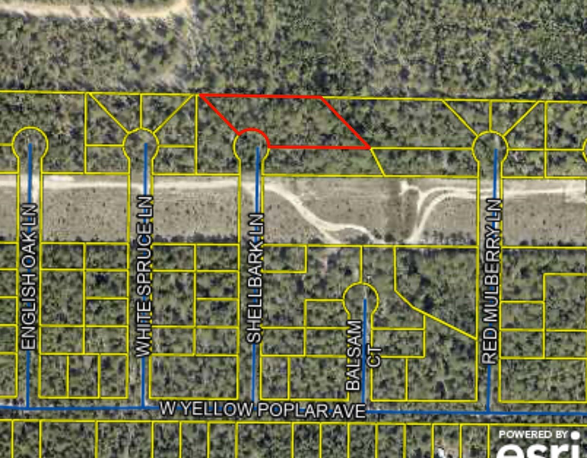 Wooded Acreage in DeFuniak Springs