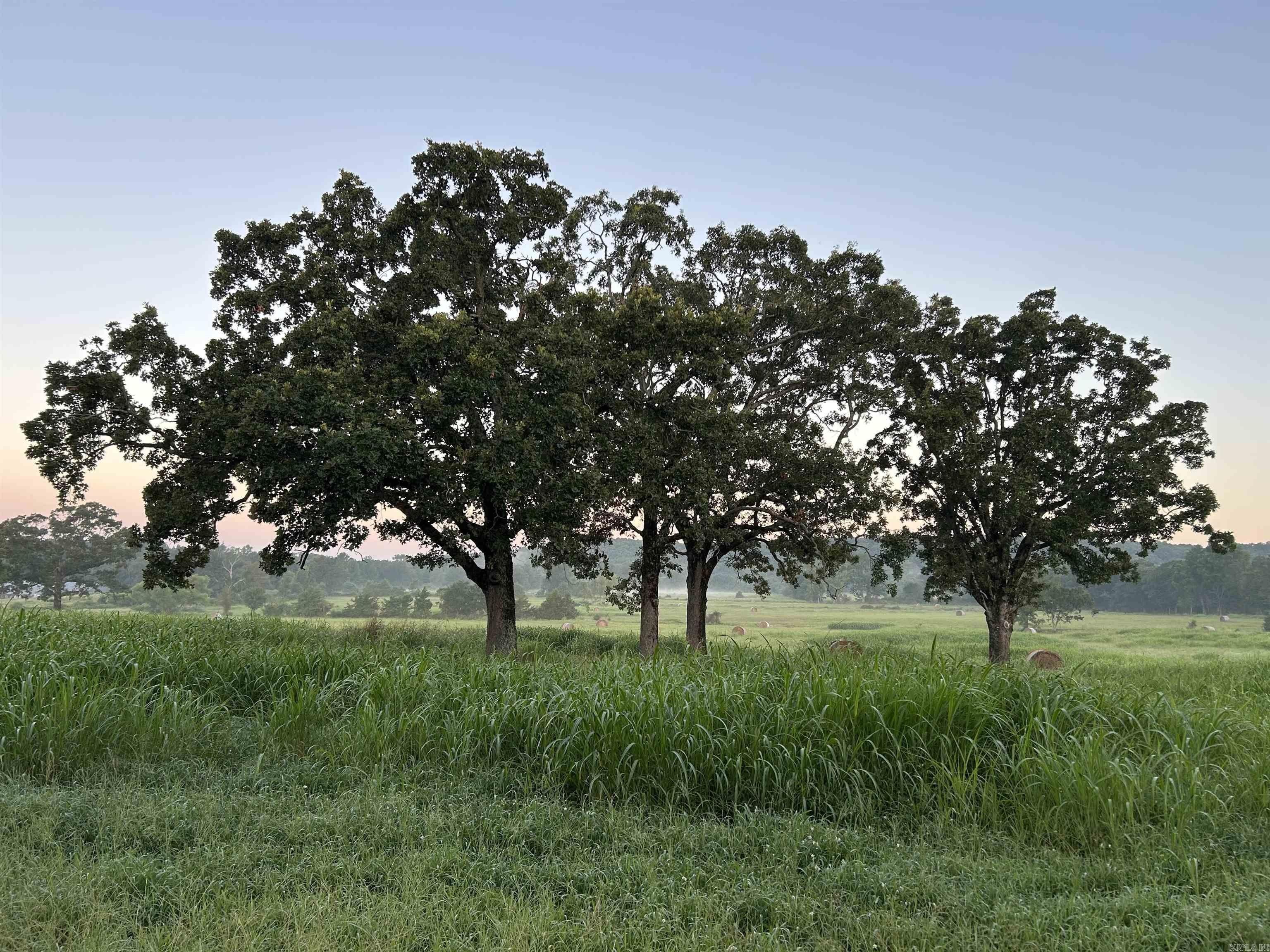Pastureland with Mountain Views