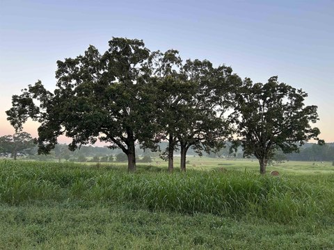 Pastureland with Mountain Views