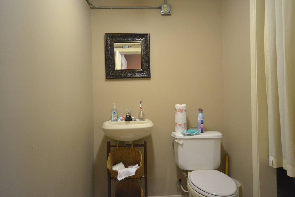 Picture 8
