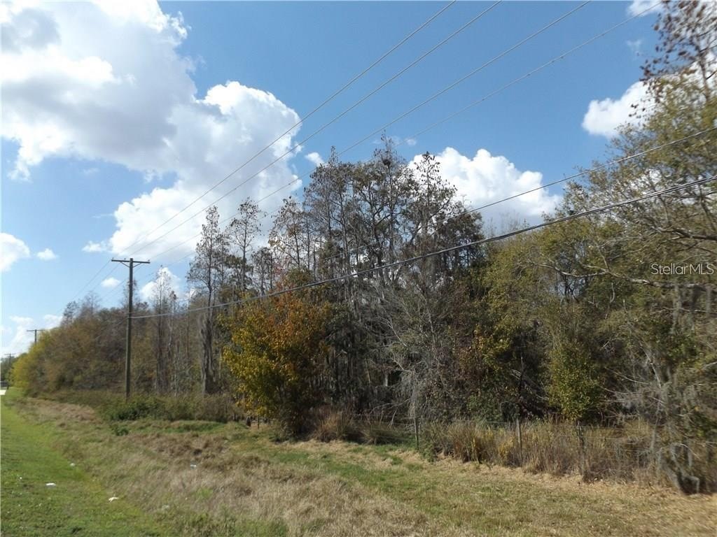 Picture 10