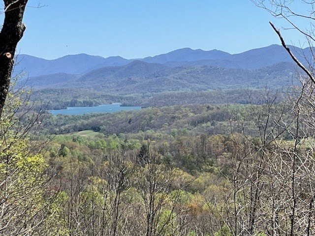 Picture 2