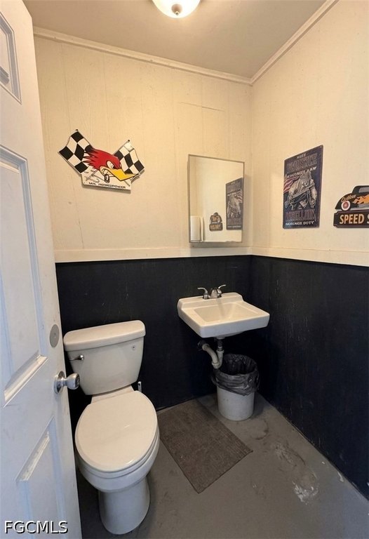 Picture 16