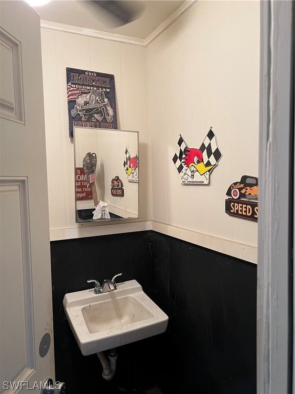 Picture 15