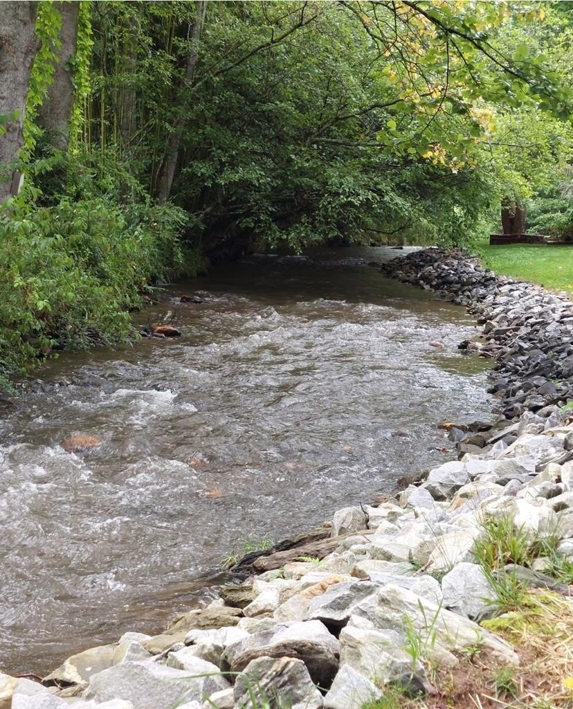 RV Lot on Creek Bank