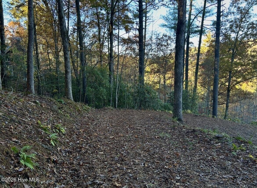 Picture 3