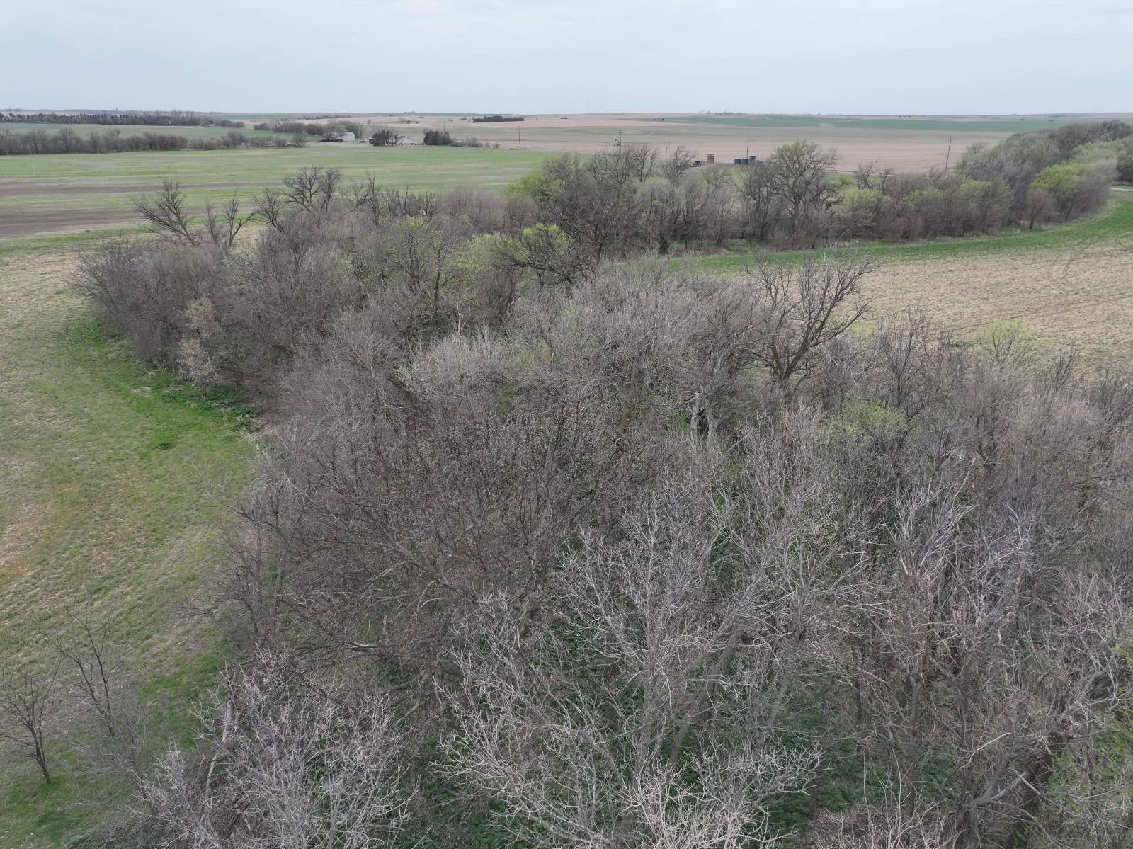 Unique Kansas Hunting and Farm