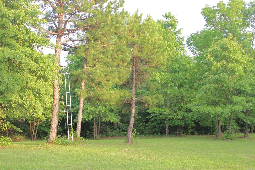 Picture 15