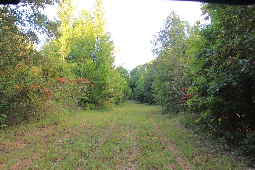 Picture 27