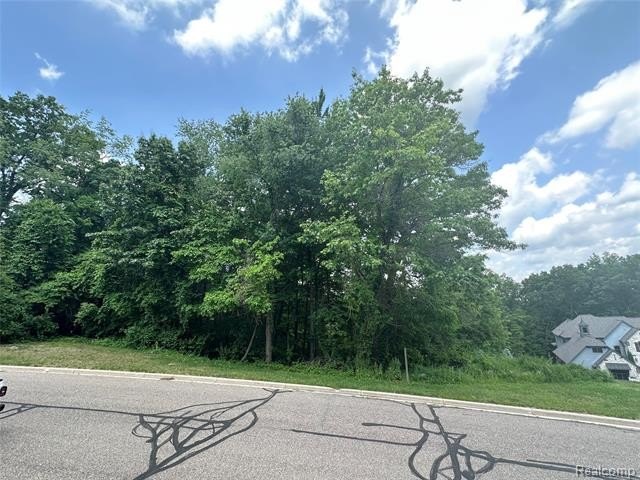 Residential Lot in Dominion Subdivision