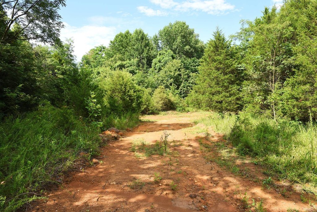 Picture 30