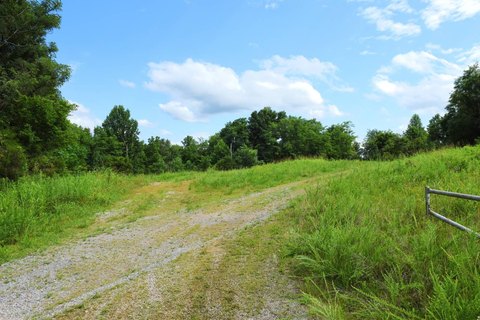 Land, Greensburg, KY