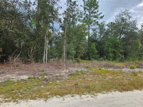 Land, BRONSON, FL